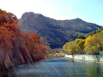 2024：网红塌房一片废墟